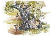 A thumbnail picture of Oaks and Deer at Bradgate Park